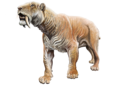 Smilodon fatalis