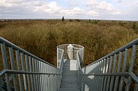 Blick über den Ihlower Forst