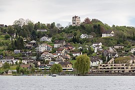 Blick auf Mannenbach und Schloss Salenstein