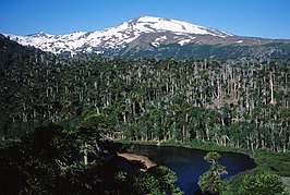 De zuidwestkant van de Copahue met de Laguna Las Totoras op de voorgrond.