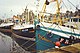 Scottish fishing boats moored in Fraserburgh