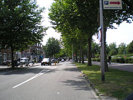 Blauwkapelseweg met rechts het Griftpark