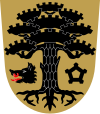 Wappen von Luumäki