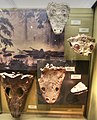 Temnospondyl skulls, New Mexico Museum of natural History (top right is Hadrokkosaurus, bottom right are two Koskinonodon, bottom left is some type of mastodonsaurid, still trying to ID the highest skull)