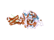 1zoy: Crystal Structure of Mitochondrial Respiratory Complex II from porcine heart at 2.4 Angstroms