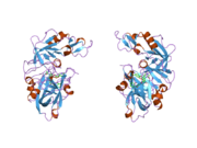 2bkt: CRYSTAL STRUCTURE OF RENIN-PF00257567 COMPLEX