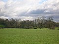 The Thorntoun woodlands from near Kirkland farm, Springside.