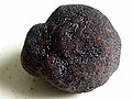 Μαύρη τρούφα