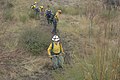 Angeles National Forest Women in Wildland Fire Training Camp