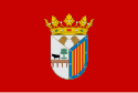 Salamanca – Bandiera