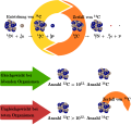 German diagram of Carbon 14 production