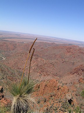 Blick auf die Gammon Ranges