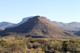 Hügel im Karoo-Nationalpark, Der Hügel besteht überwiegend aus permischen Peliten der Abrahamskraal- oder Teekloof-Formation der Beaufort-Gruppe. Die Hügelkuppe wird von einem relativ festen Sandstein gebildet.