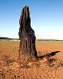 Der Menhir von Benzingerode