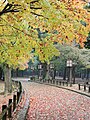 Herbstliche Impression der Parklandschaft