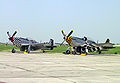 2 adet P-51 Mustang ILA 2002'de.