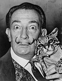 Salvador Dalí im Jahr 1965 mit seinem zahmen Ozelot, den er als Haustier hielt.