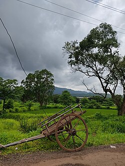 A farm in Shelu near GV Acharcya Institute