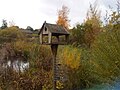 Madáretető a londoni WWT London Wetland Centre-ben