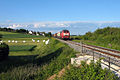 Güterverkehr der DB auf der Brenzbahn