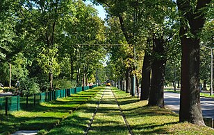 Widok na wschód, od pętli Cichy Kącik