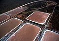 Image 4Aerial view of algae farm ponds for production of beta-carotin, Whyalla, South Australia.