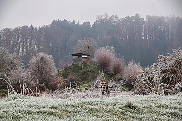 Auriedturm