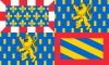 Bourgogne-Franche-Comté bayrağı