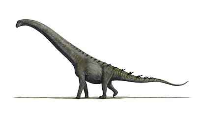 Restoration