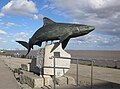 Image 1Postural configuration of a Gray Reef Shark as it displays agonistic behaviour, in a sculpture (from Shark agonistic display)