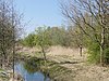 Hirtenbach im LSG Hirtenbach - Wettberger Holz