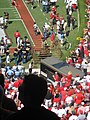 Ralphie IV at a road game in Athens, Georgia