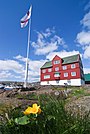 Engsoleie/smørblomst foran regjeringskontorene på Tinganes i Tórshavn på Færøyene. Foto: Arne List