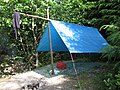 A tent created from string, logs, and tarp