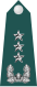 새 SVG 이름