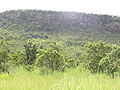 Blick auf die Atakora-Kette vom Pendjari-Nationalpark (Benin) aus