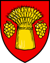 Coat of arms of Vich