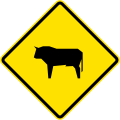 PO-5 Cattle area