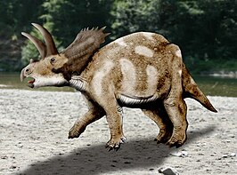 Coahuilaceratops