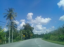 Jalan utama FELDA Sungai Tiang