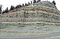 Unnamed middle member, Green River Formation along U.S. Highway 191 near Indian Canyon Summit, Duchesne County, Utah.