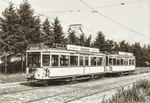 Tw 3335 und 3325 (beide TM 33) auf der Linie 96 an der Endhaltestelle Goerzallee, 1963