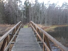 Brug in het natuurreservaat bij Soontaga