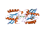 2dpx: Crystal Structure of human Rad GTPase