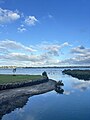 Black swans at Tahuna Torea