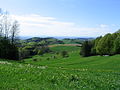 Hügel der Diorit-Granodiorit-Granit-Mischzone zwischen dem Kallstädter- und dem Gorxheimer-Tal (vom Waldskopf aus), im Hintergrund: Rheinebene und Pfälzer Bergland