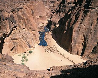 Kamele ziehen zur Wasserstelle im Ennedi-Gebirge