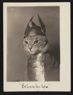 A sepia-toned portrait photograph of a cat wearing miniature scale armor and a winged helmet. The photograph is labeled with the name "Brünnhilde".