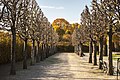 Gardens of Schönbrunn in autumn