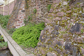 Stadtbefestigung hinter Gerbergasse